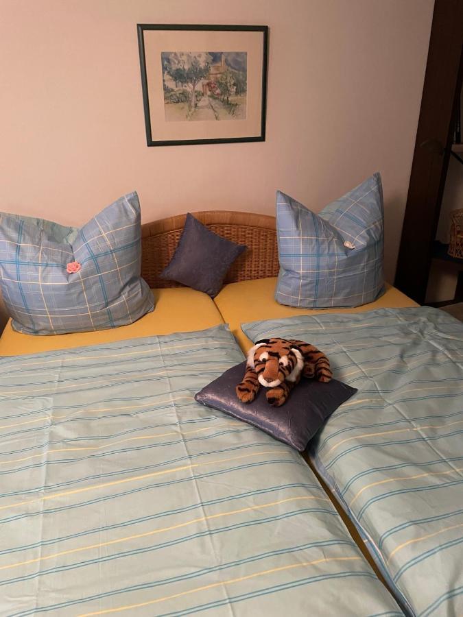 Schoene Ferienwohnung In Bahnhofsnaehe Fuer Urlaub, Studium Oder Arbeit Deggendorf Exterior foto